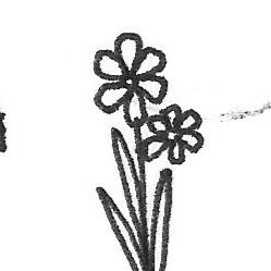 black on white drawing of a flower with 6 petals