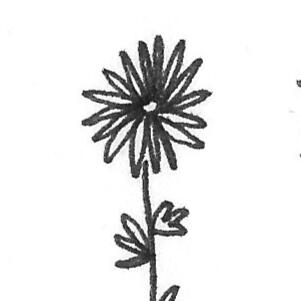 a black on white drawing of a daisy