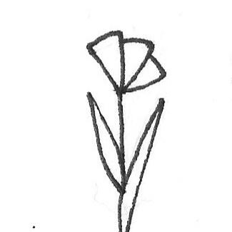 black on white line drawing of a poppy